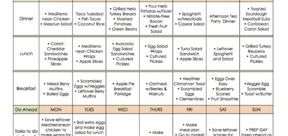 New Meal Plan 48b