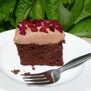 Coconut Flour Chocolate Cake & Cupcakes (GF)