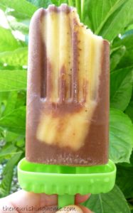 Discover my top 10 tips for making healthy homemade frozen pops and also get a free copy of my popular eBook, Healthy Ice Pops & Frozen Treats!