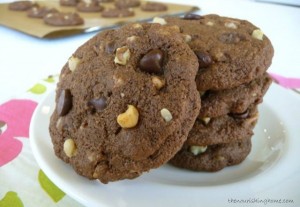 Double Chocolate Chip Cookies TNH