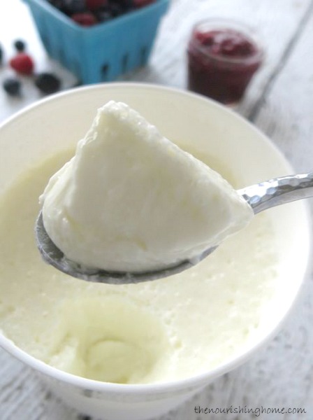 This recipe photo tutorial teaches an easier way to achieve thick, creamy dairy and non-dairy Greek-Style Yogurt no straining required. Can you guess the secret?